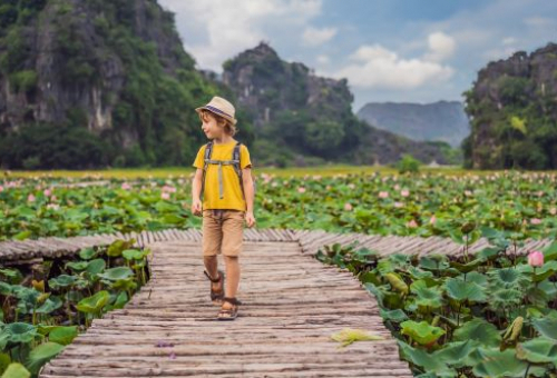 Dự Án Bonjour Viet Nam