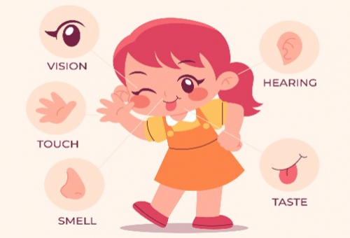 Dự Án My Body